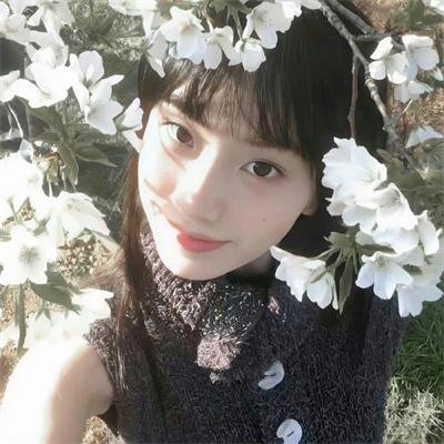 侦探米娜